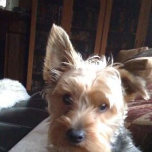 Meet your Posher, Maggie